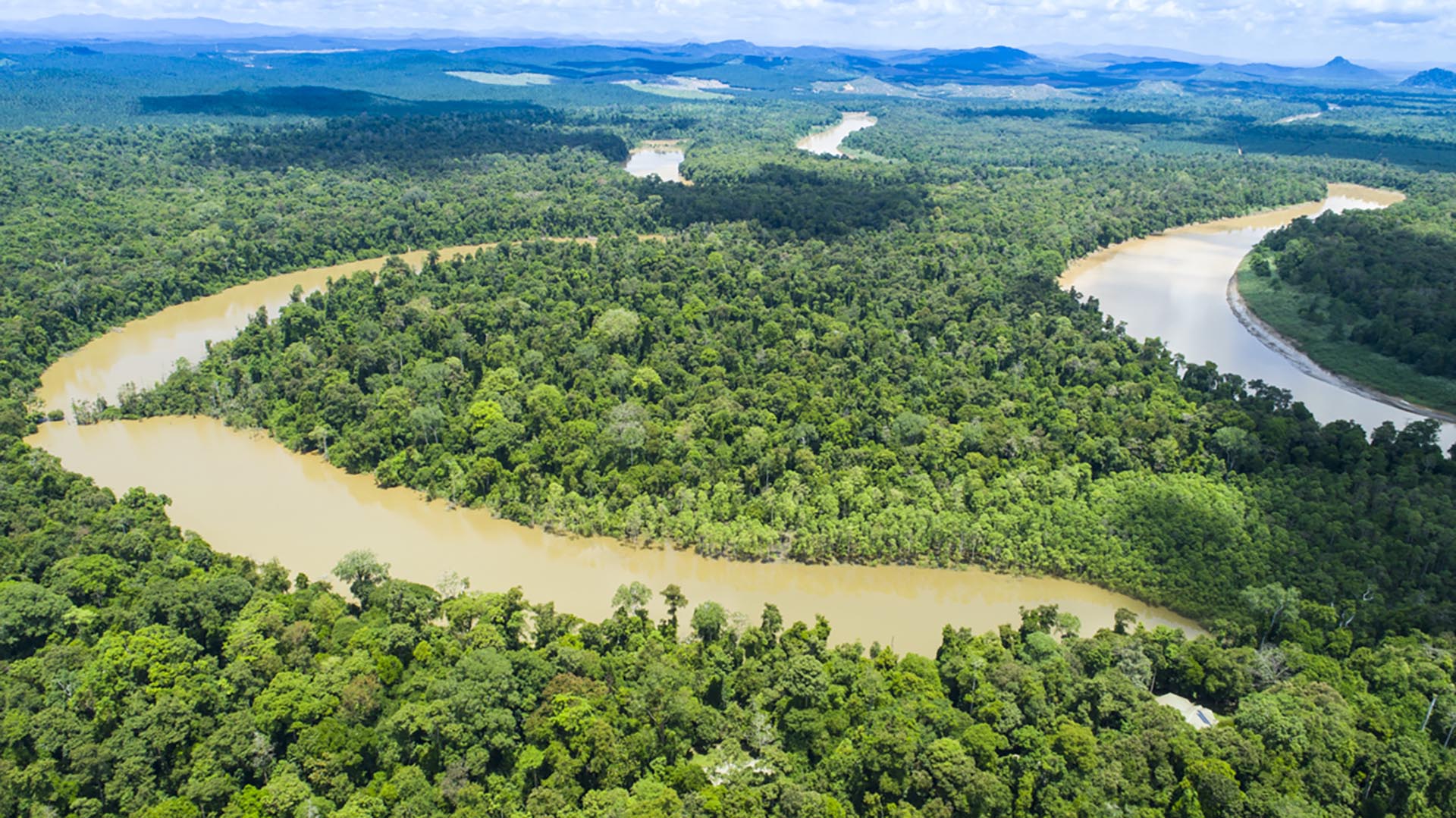 Danau Girang Field Centre – Rebuilding Borneo's Wildlife Corridors
