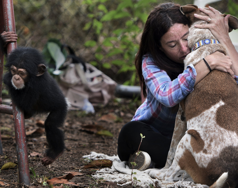 Liberia Chimpanzee Rescue & Protection (LCRP) – photo 3