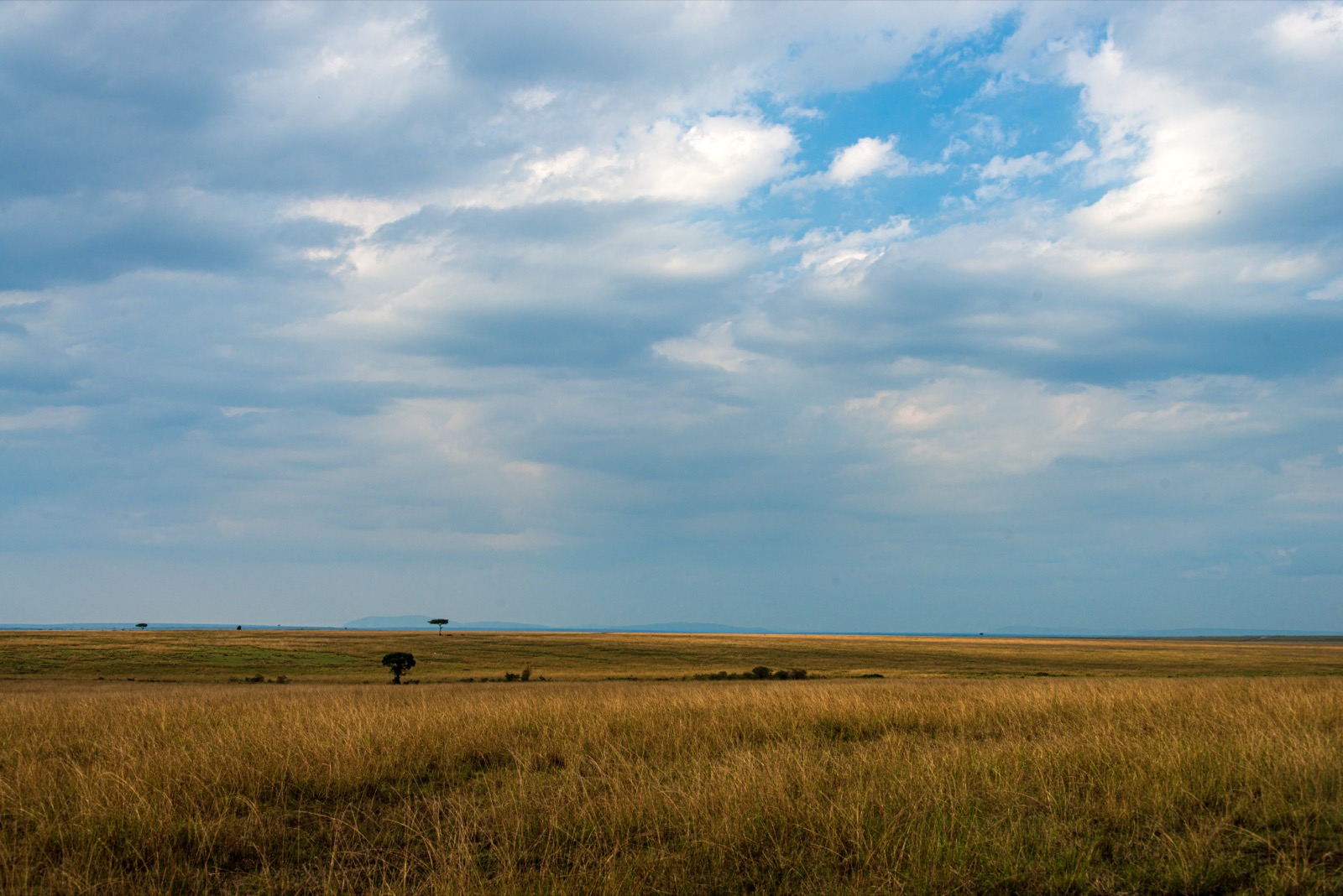 The Wildlife Habitat Trust – photo 2