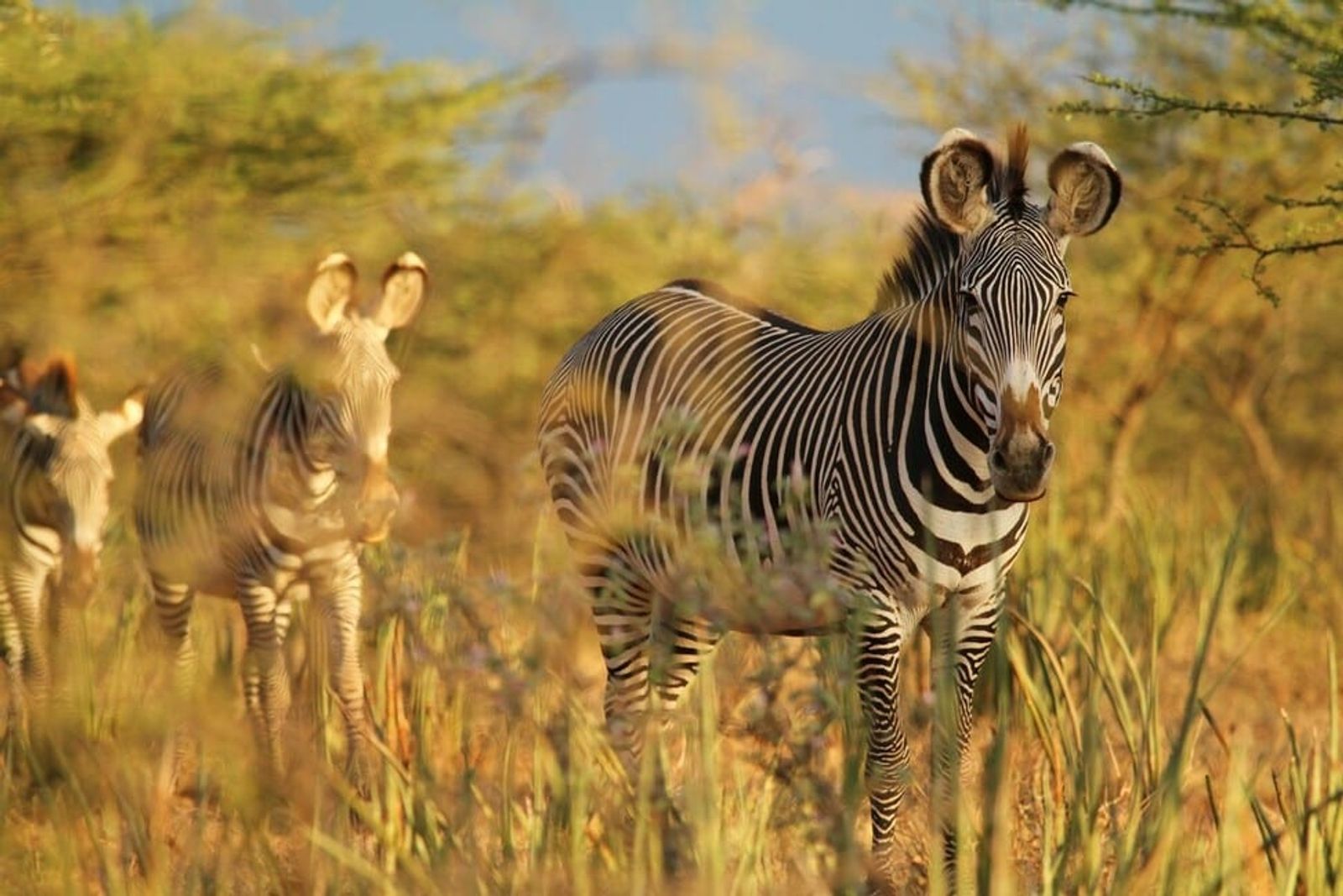Tusk Trust – photo 3