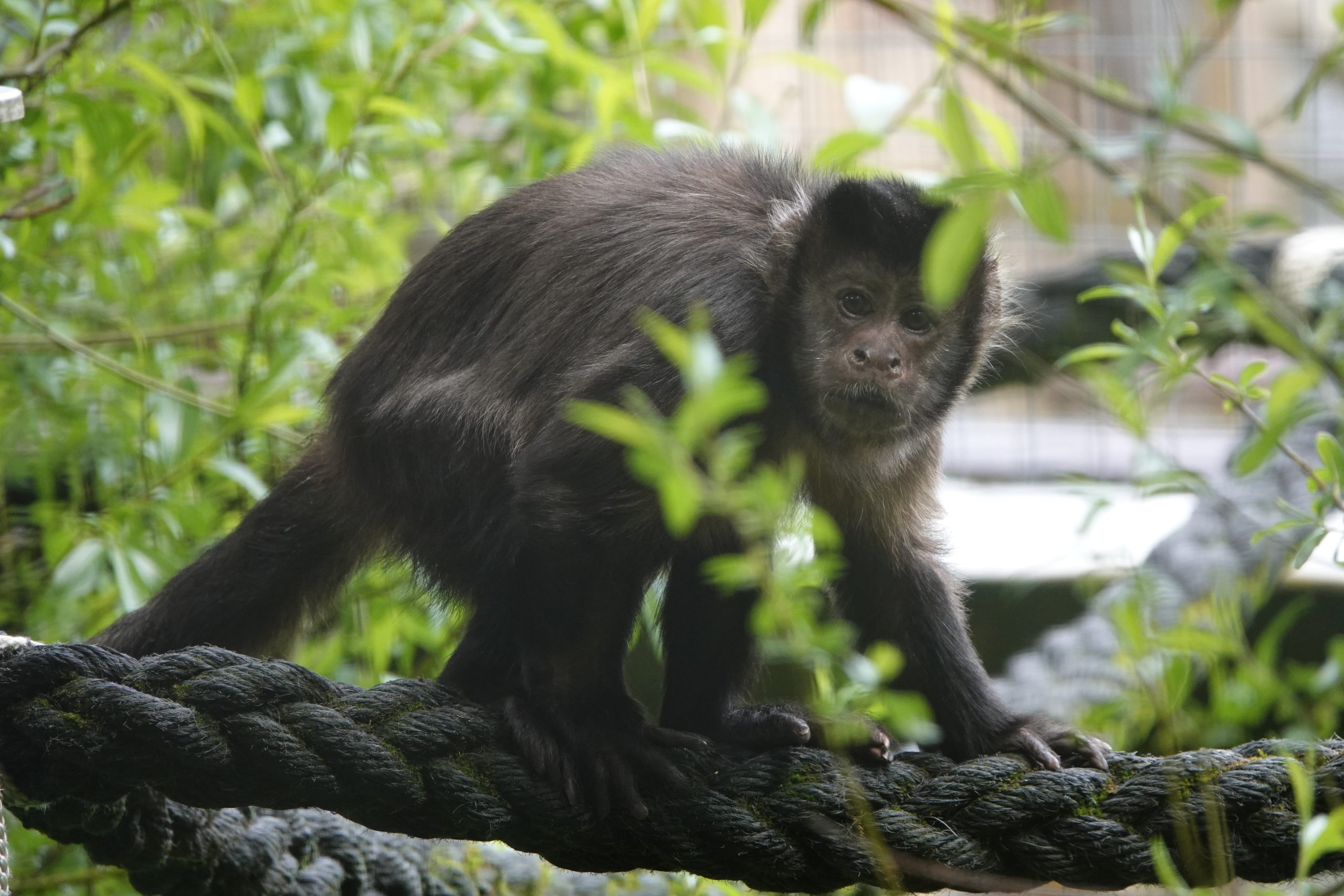 Wild Futures – photo 3