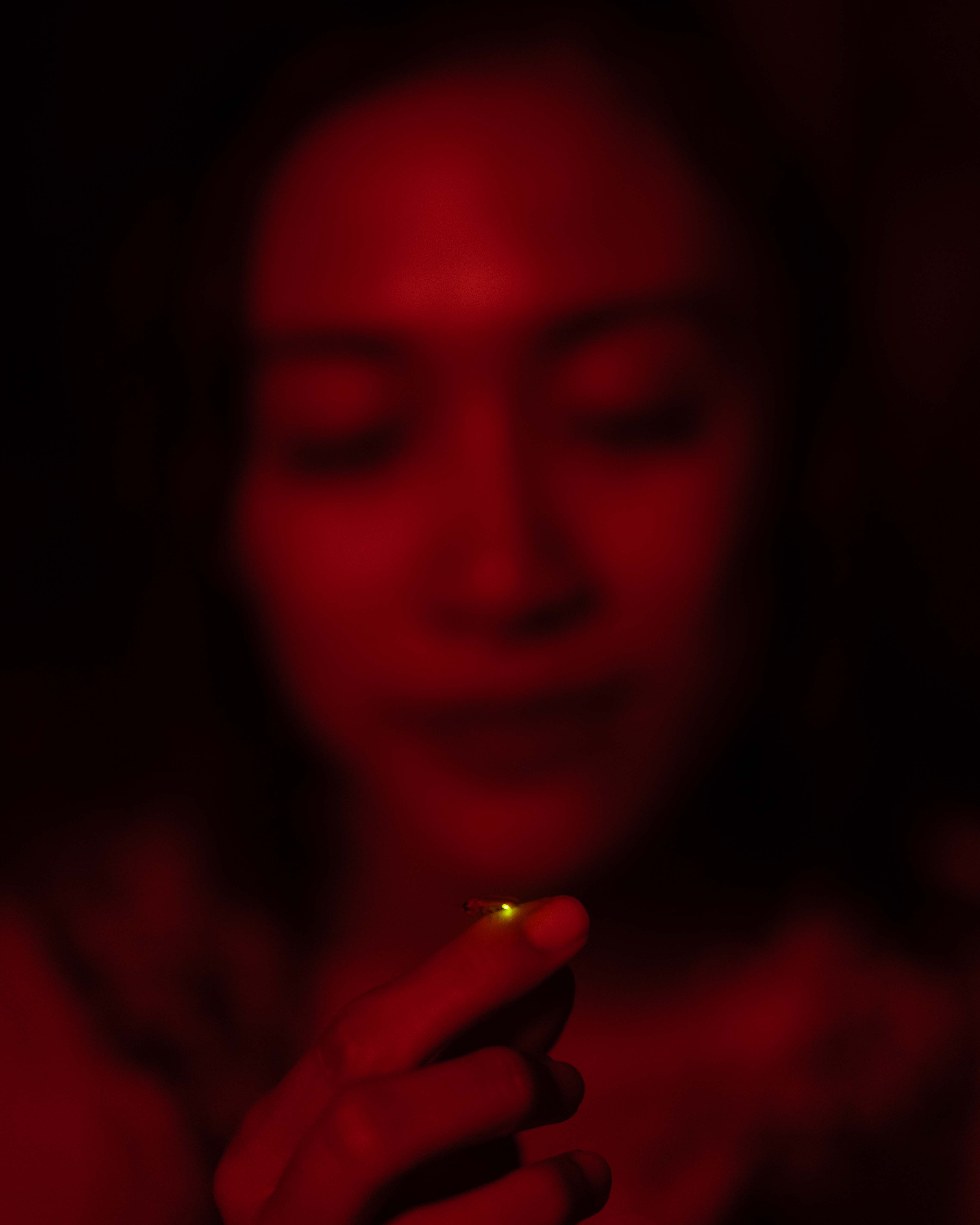 Return of the Fireflies