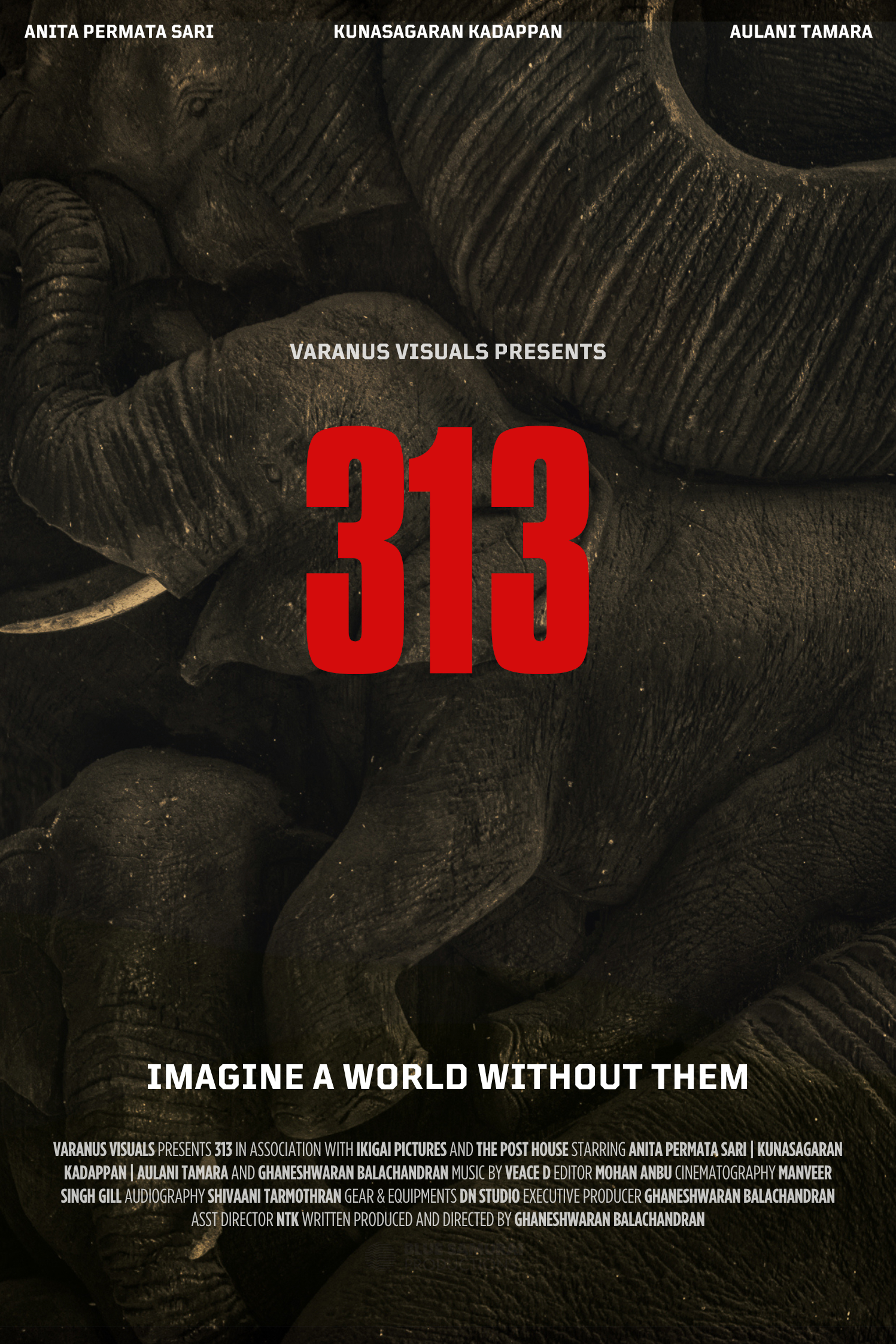 313