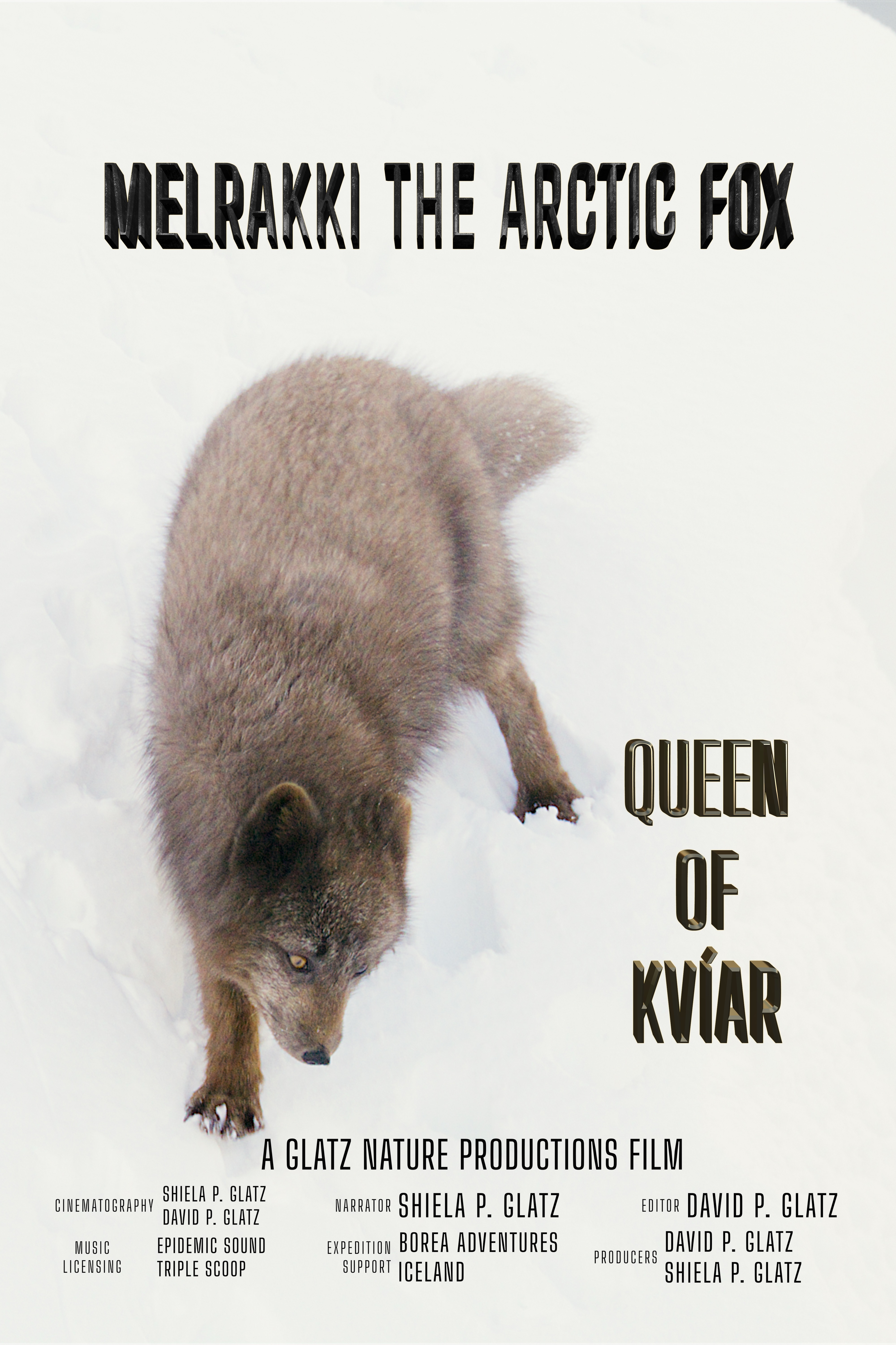 Melrakki the Arctic Fox, Queen of Kvíar