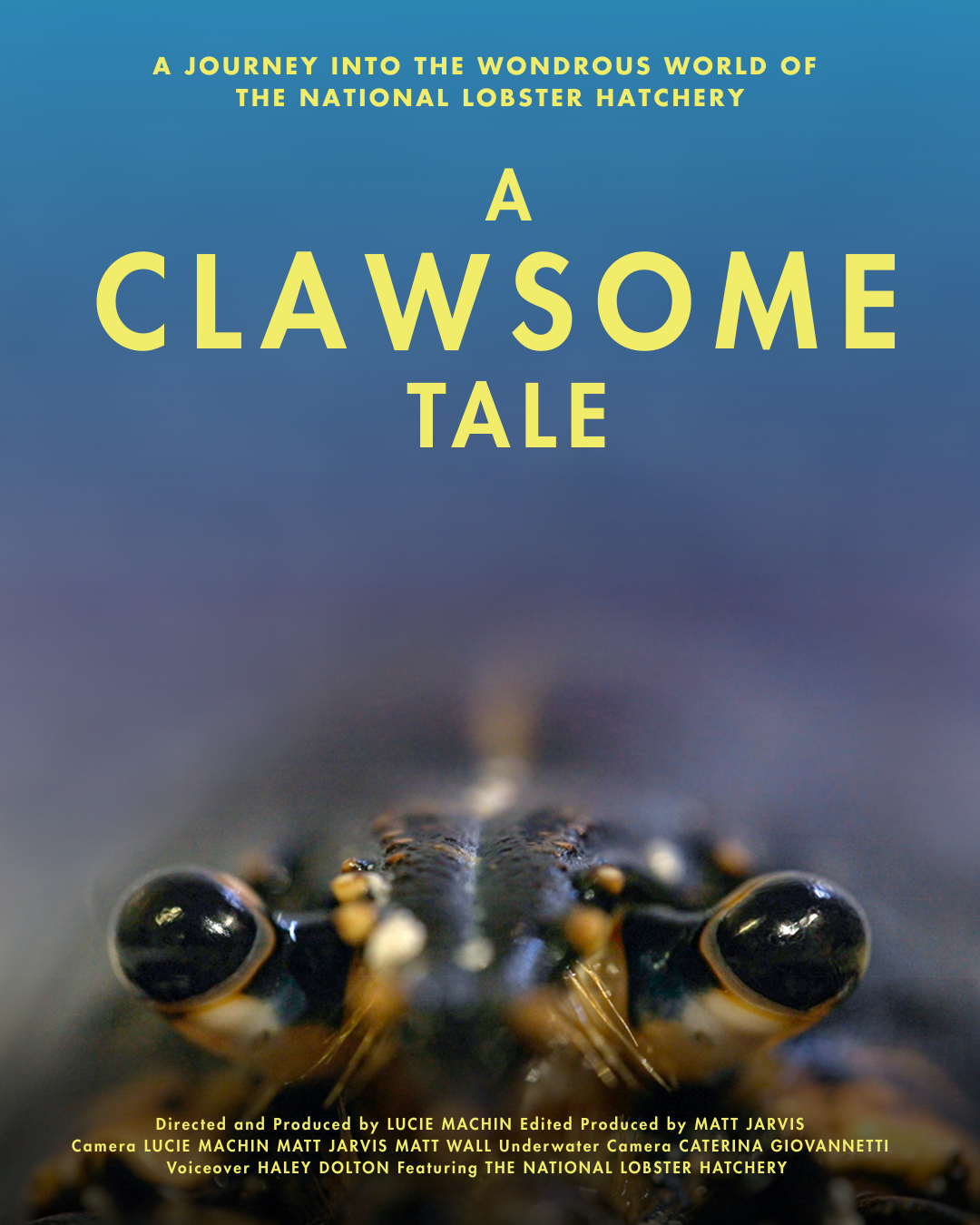 A Clawsome Tale