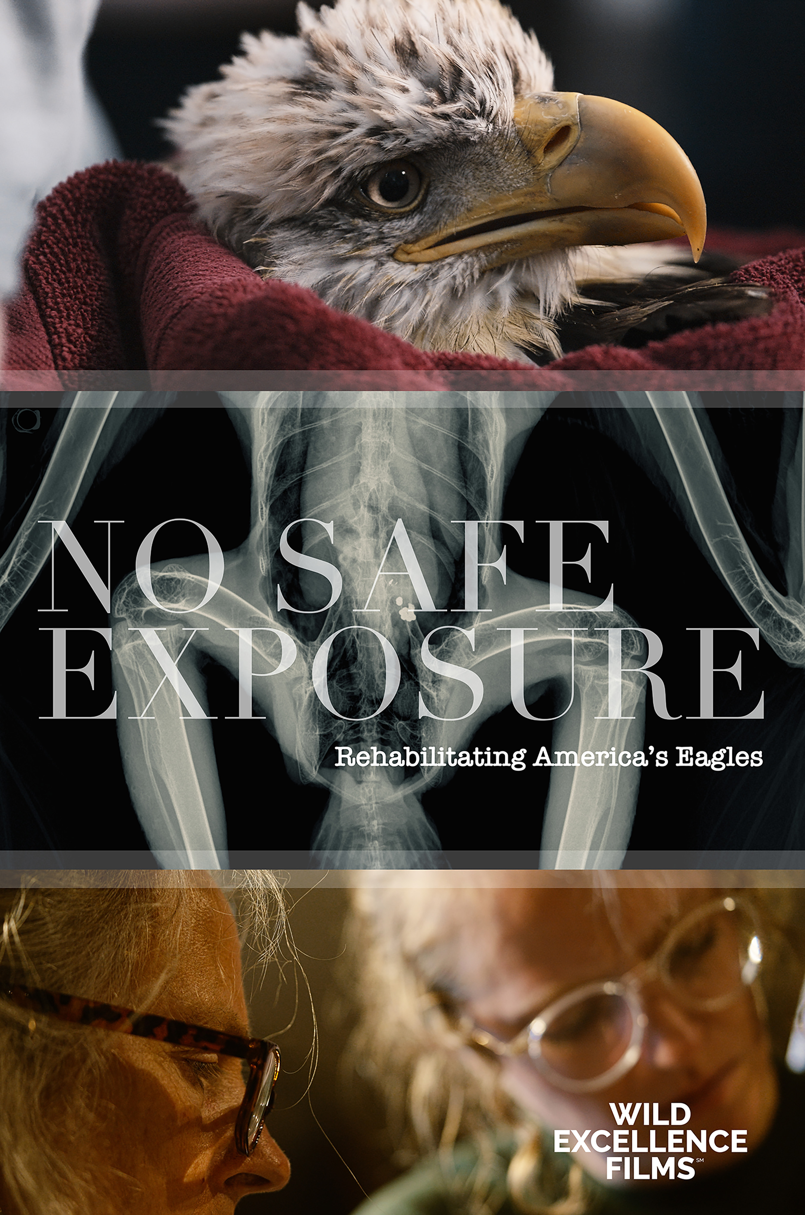 No Safe Exposure