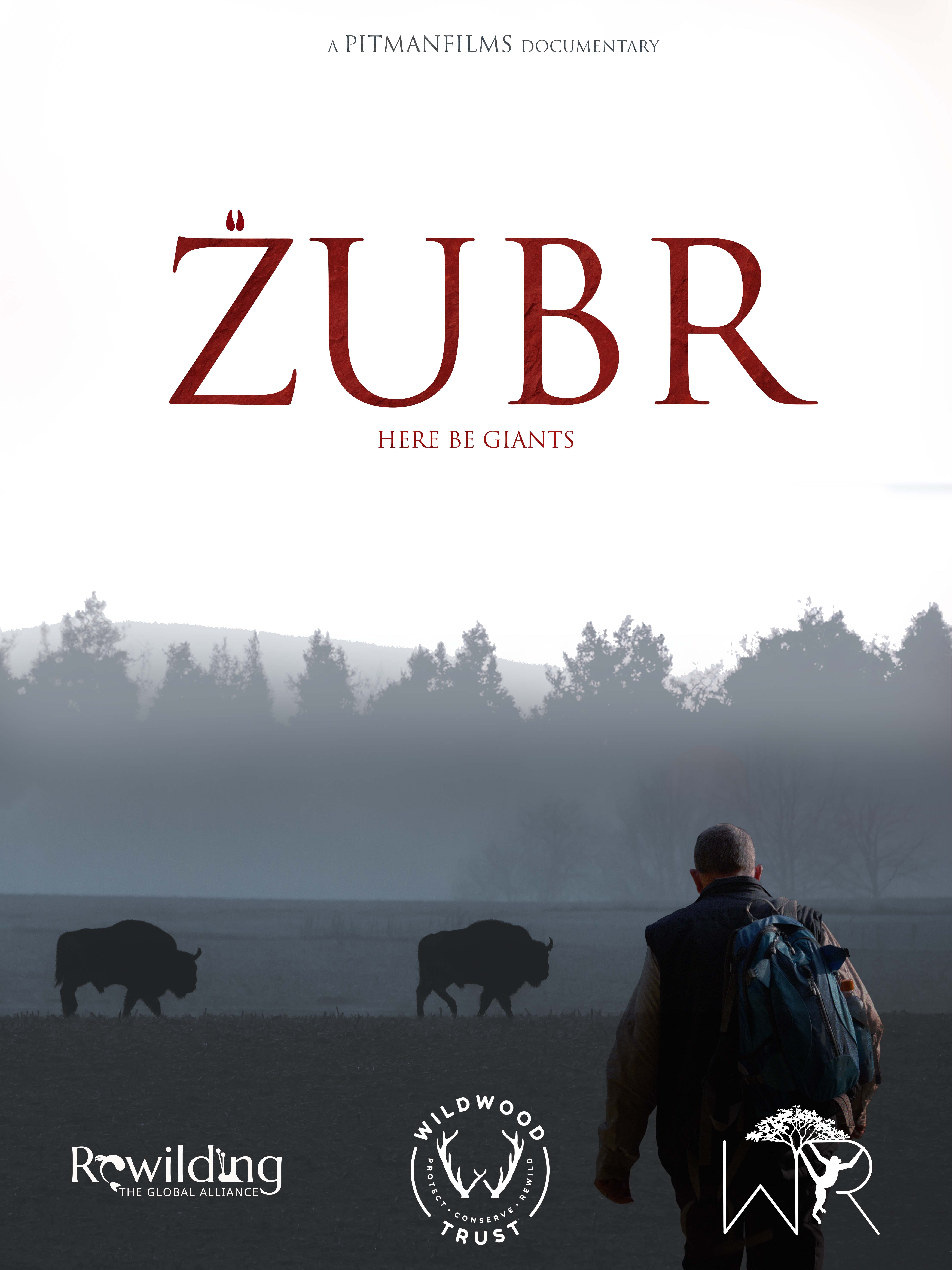 ZUBR