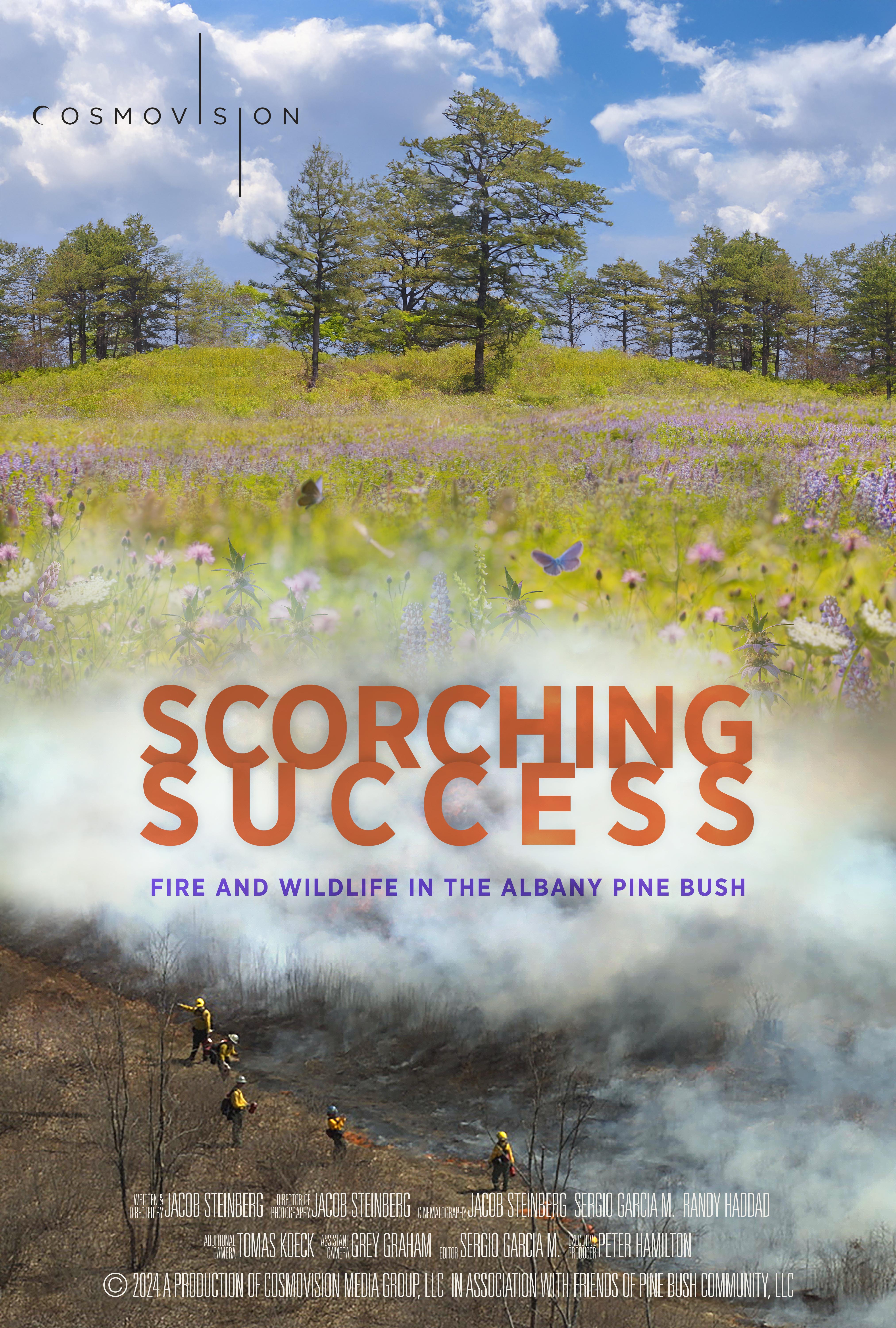 Scorching Success