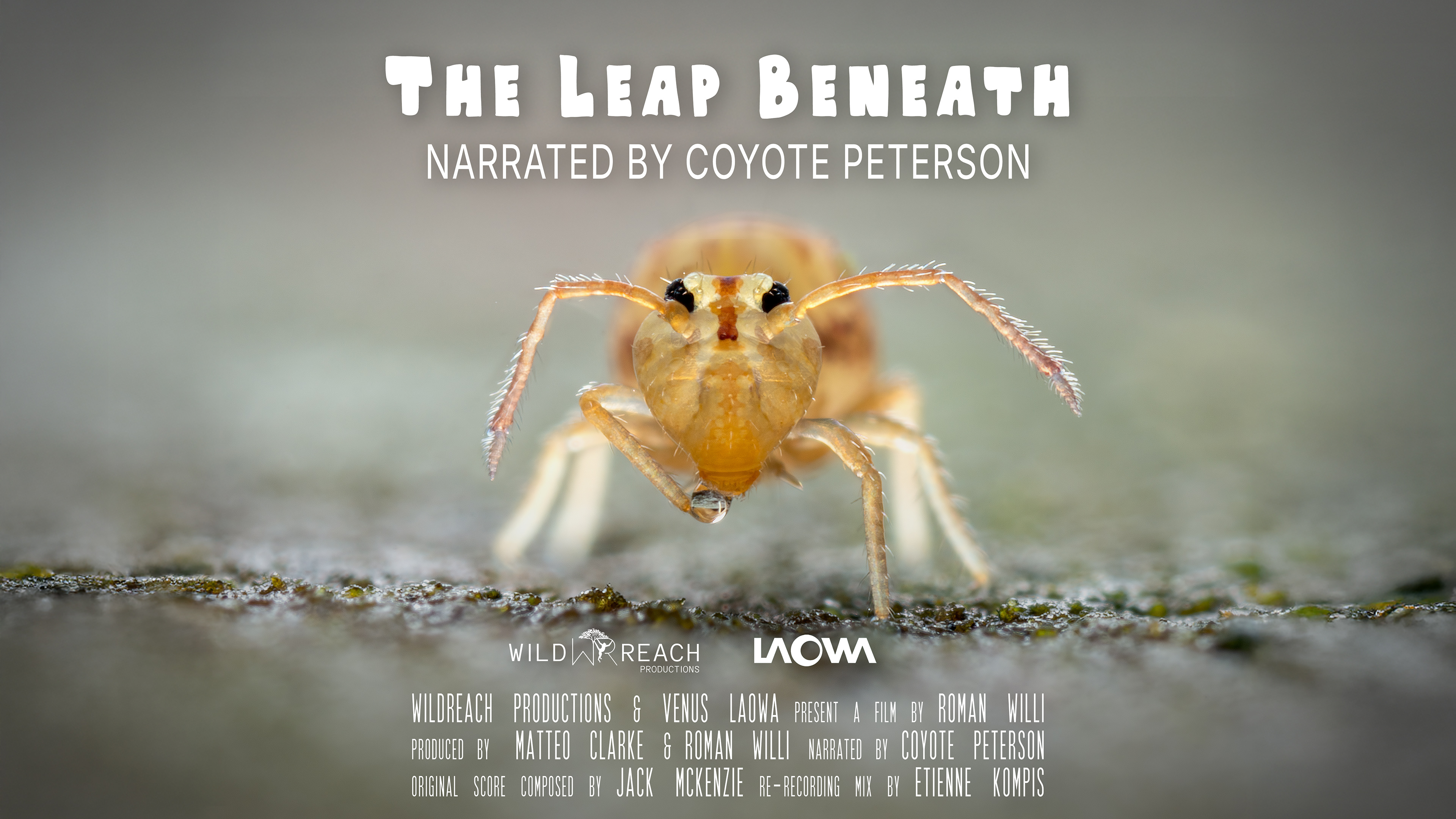 The Leap Beneath