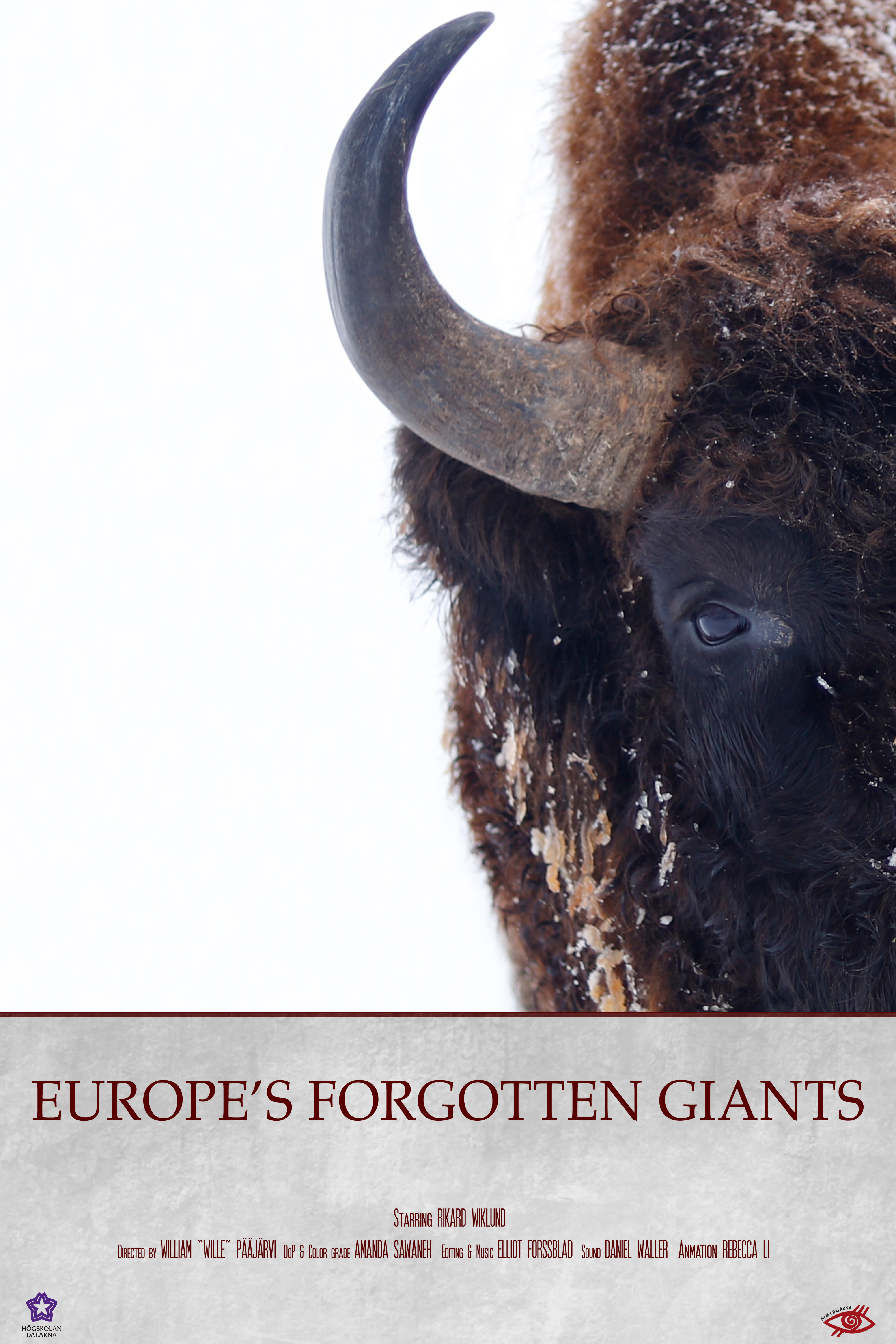 Europe’s Forgotten Giants