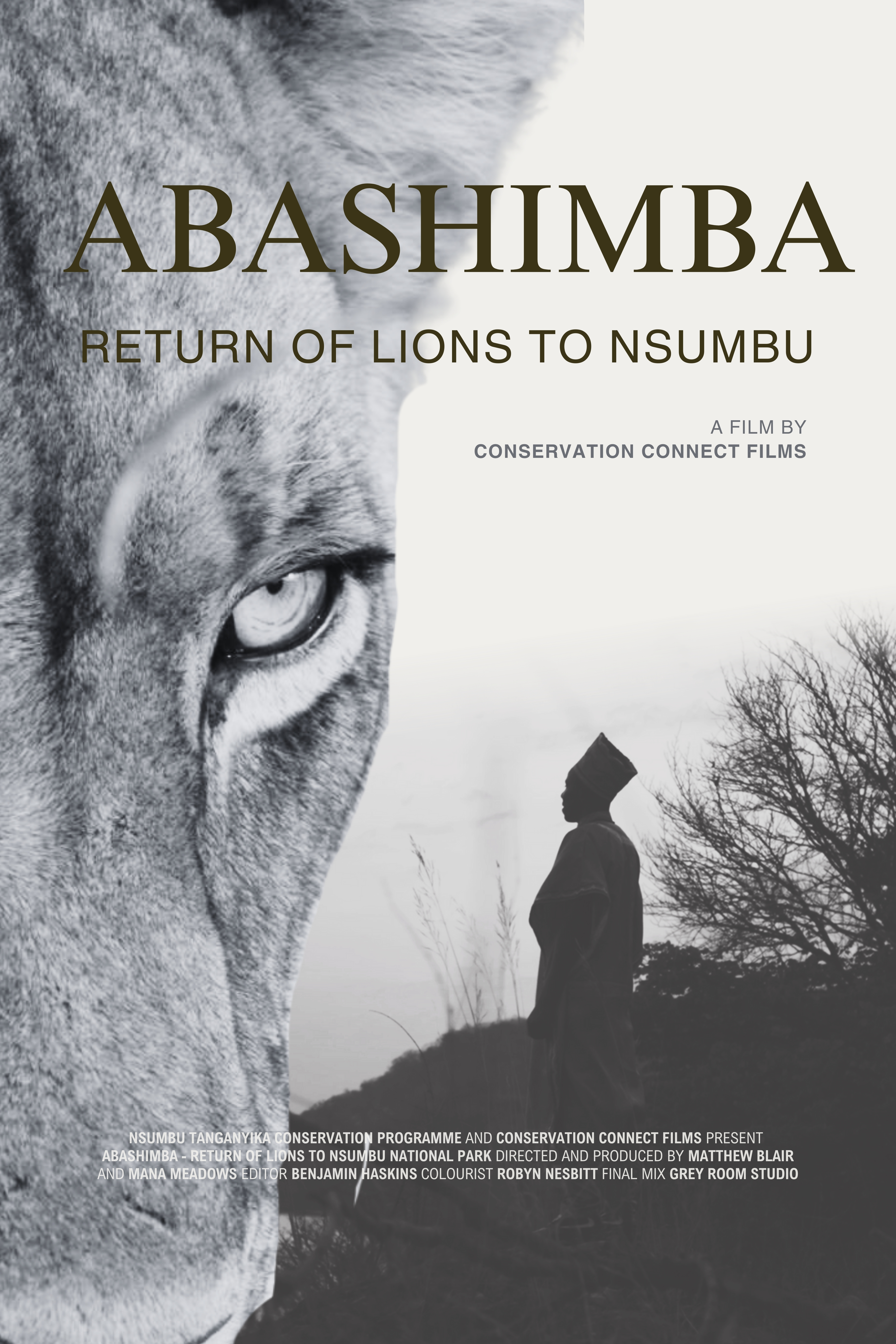 Abashimba – Return of Lions to Nsumbu